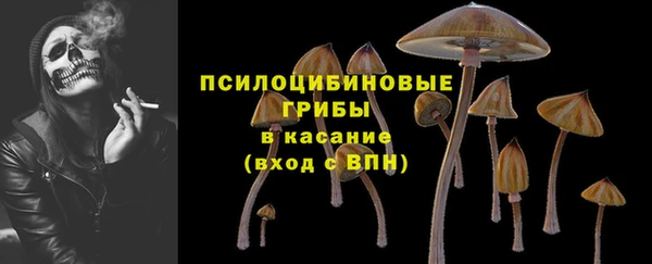 дмт Киреевск