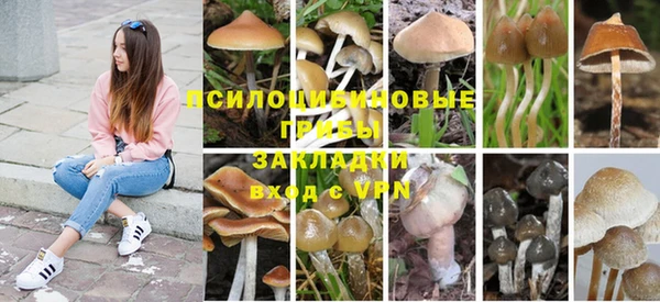 MESCALINE Козельск