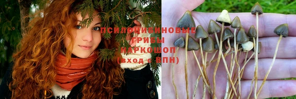 MESCALINE Козельск