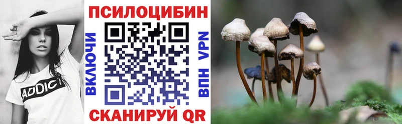 Псилоцибиновые грибы MAGIC MUSHROOMS  закладка  Кораблино 